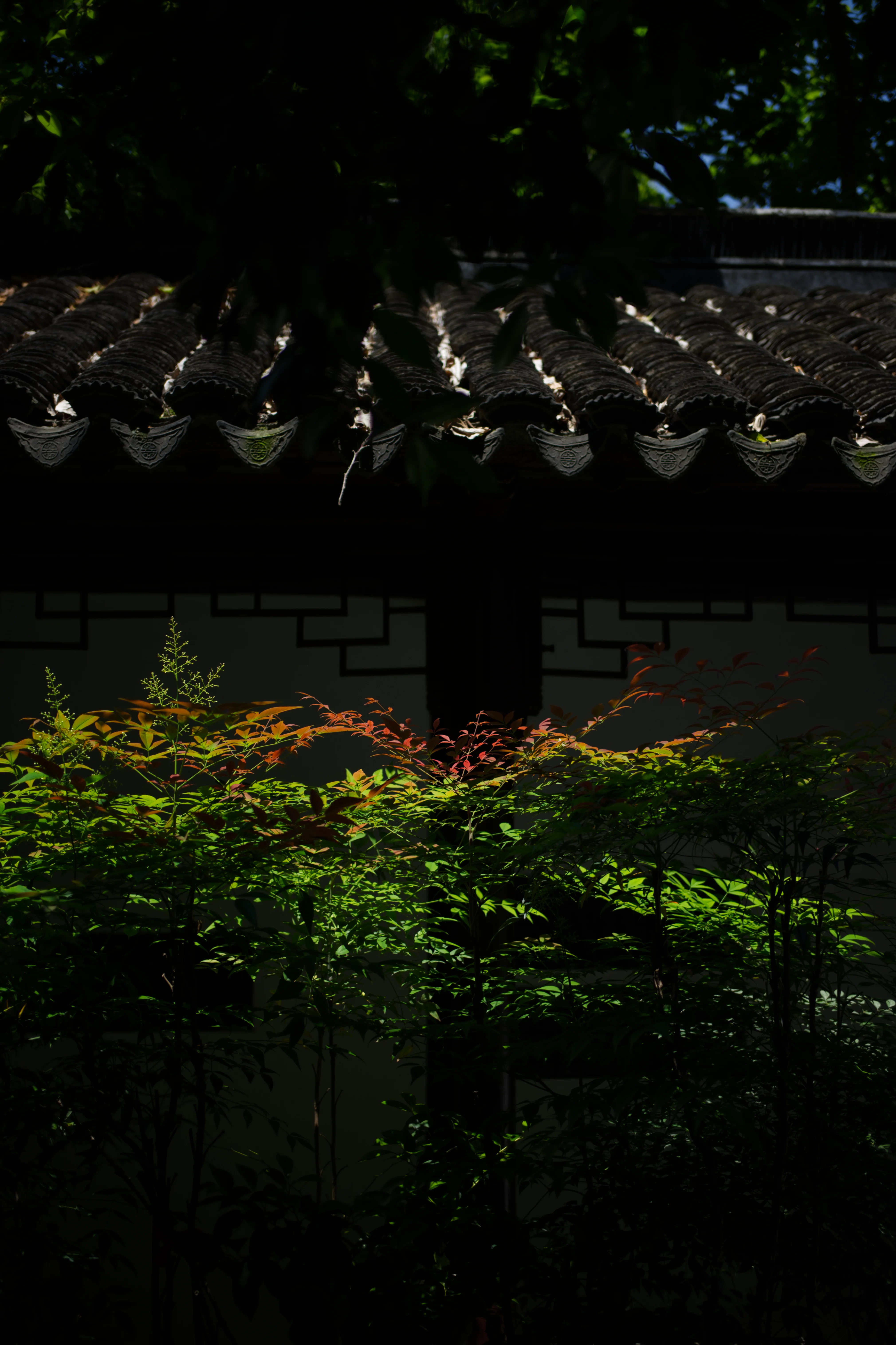 Courtyard garden within the Dinghui Temple monastic precinct